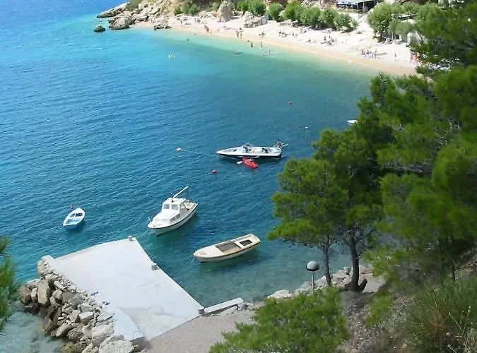 Deluxe Seaview Kennedy Iii * Mimice